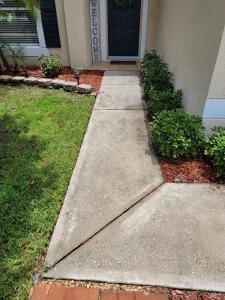 This entryway side walk, while not bad, will only get worse over time.